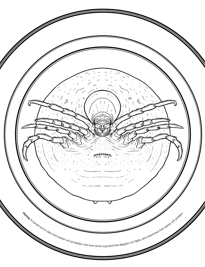 Microscopic Monsters