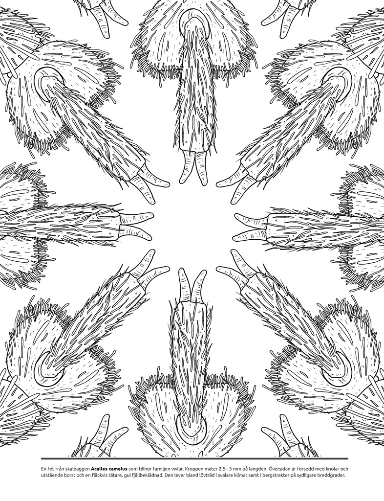 Microscopic Monsters