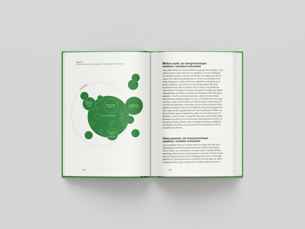 Sätt ekonomin på plats